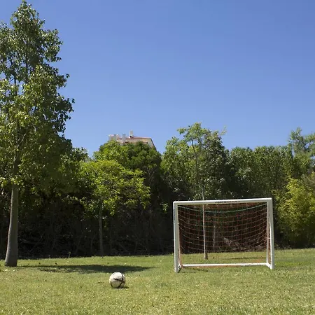 Marachique Torralvor Daire *