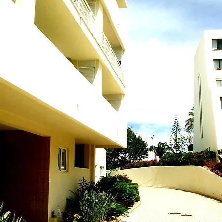 Marachique Torralvor Daire